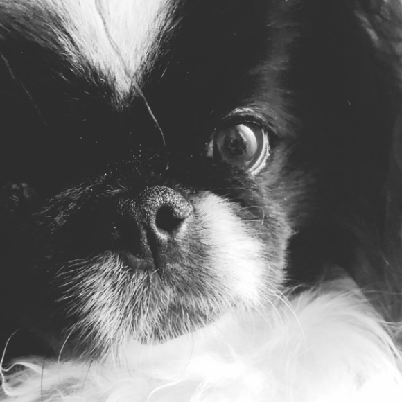 💋Meet The Posher💋 - Picture 10 of 16